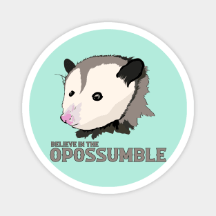 Believe in the Impossible Motivational Possum Magnet